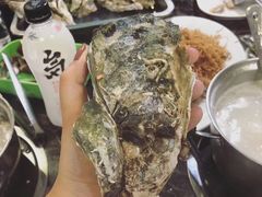 -蚝专家