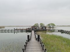 -苏州太湖国家湿地公园