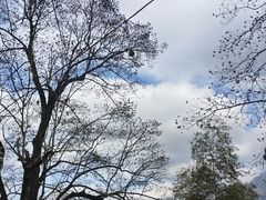 -仙霞关景区