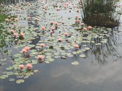 -厦门海湾公园游乐场