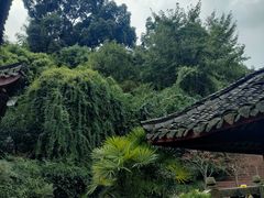 -峨眉山报国寺