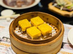 -新兴·金羊座·粤菜点心(乐峰店)