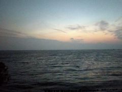 -素满香·素食自助餐(苏州·临顿路店)