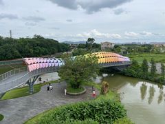 -江门古劳水乡旅游区