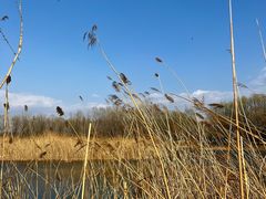 -野鸭湖国家湿地公园