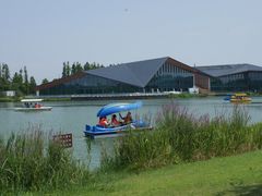 -上海长兴岛郊野公园