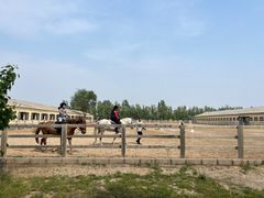-北京群众马术培训基地