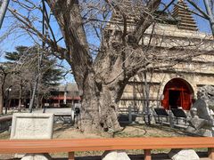 -北京石刻艺术博物馆(五塔寺)