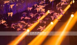 -上海金桥红枫万豪酒店·宴会厅