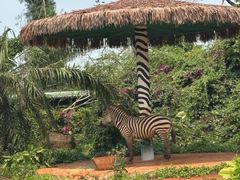 -海南热带野生动植物园