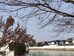 -枫桥景区