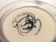 -拾宴(汇智国际商业中心店)
