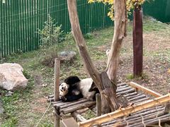 -沈阳森林动物园