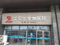 -艾贝尔宠物医院·24H转诊中心·肿瘤猫专科(江宁双龙店)