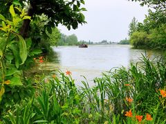 -溱湖国家湿地公园