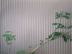 -一坐一忘云南菜(嘉里中心店)