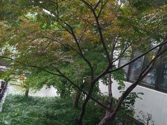 -句容茅山景区