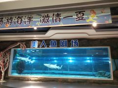 -绍兴梦享海洋公园