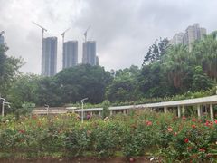 -人民公园(罗湖区)