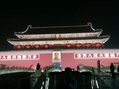 -天安瑞嘉酒店