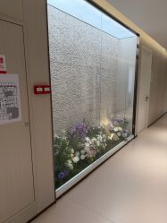 -广州美莱医疗美容医院