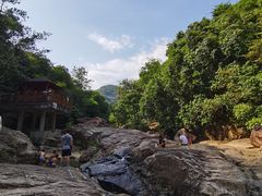 -广州白江湖森林公园