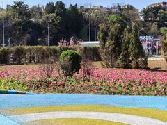 -大连老虎滩海洋公园