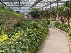 -南宫五洲植物乐园