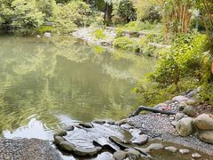 -成都市活水公园