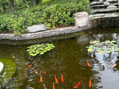 -思念果岭悦温泉