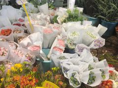 -循礼门鲜花花市(武汉循礼门店)