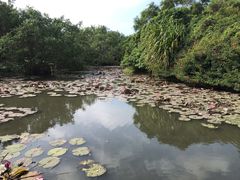 -白沙门生态公园