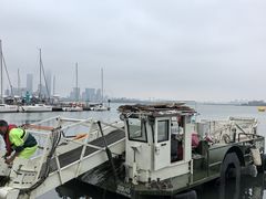 -金鸡湖景区