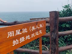 -杨梅坑
