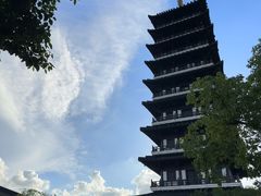 -宜兴龙背山森林公园