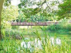 -福田红树林生态公园