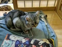 -小时光咖啡馆(开森度假森林店)