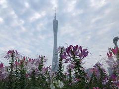 -珠江夜游广州塔·中大码头