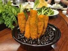 -丁老爷子苏香圆