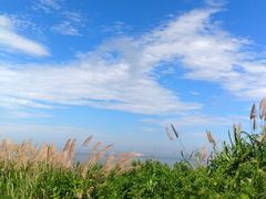 -东极岛景区