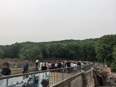 -哈尔滨北方森林动物园
