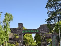 -溱湖国家湿地公园