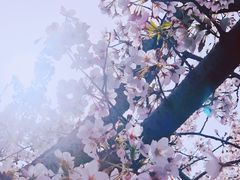 -永乐路-路侧停车场