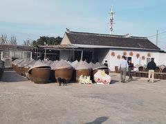 -苏州市吴中区光福窑上花果蜜饯厂