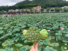 -红山村