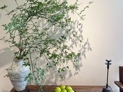 -墨宴(西洋湖店)
