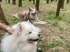 -山王坪喀斯特国家生态公园
