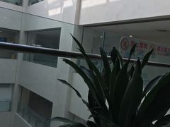 -上海交通大学医学院附属瑞金医院(总院)