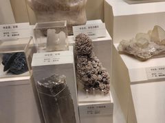 -天津自然博物馆