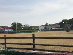 -苏州太湖西山岛开心农场